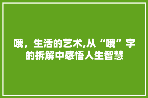 哦，生活的艺术,从“哦”字的拆解中感悟人生智慧