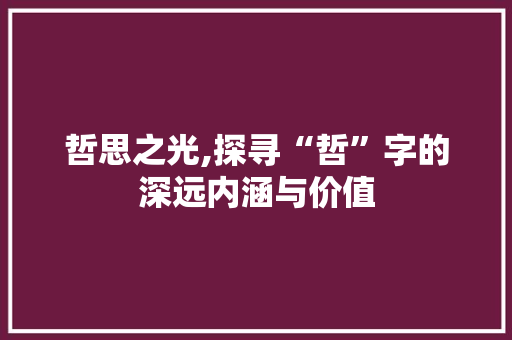 哲思之光,探寻“哲”字的深远内涵与价值