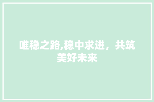 唯稳之路,稳中求进，共筑美好未来