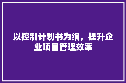 以控制计划书为纲，提升企业项目管理效率