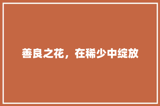 善良之花，在稀少中绽放