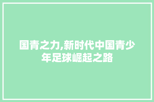 国青之力,新时代中国青少年足球崛起之路