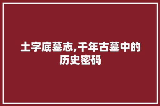 土字底墓志,千年古墓中的历史密码