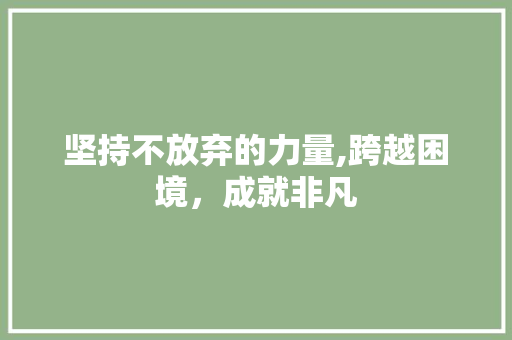 坚持不放弃的力量,跨越困境，成就非凡