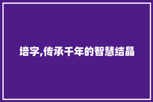 培字,传承千年的智慧结晶
