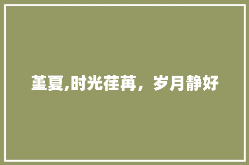 堇夏,时光荏苒，岁月静好