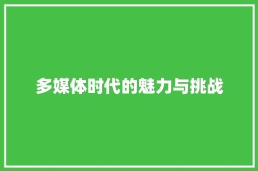 多媒体时代的魅力与挑战