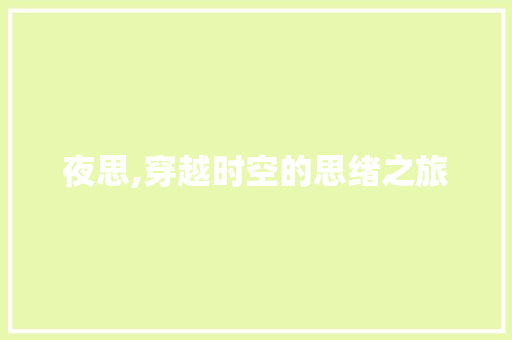 夜思,穿越时空的思绪之旅