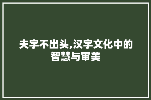 夫字不出头,汉字文化中的智慧与审美