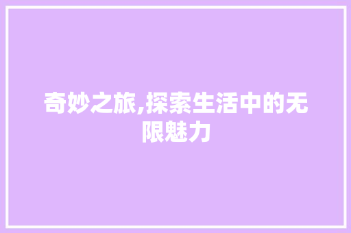 奇妙之旅,探索生活中的无限魅力