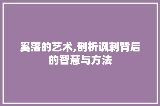 奚落的艺术,剖析讽刺背后的智慧与方法