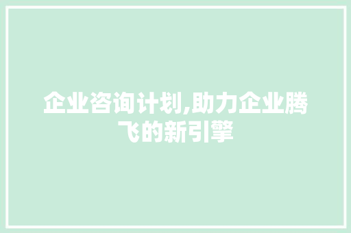 企业咨询计划,助力企业腾飞的新引擎