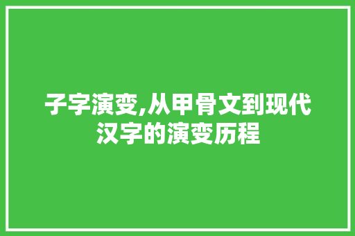 子字演变,从甲骨文到现代汉字的演变历程