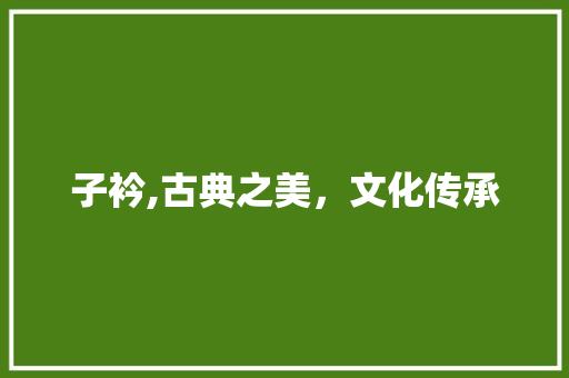 子衿,古典之美，文化传承