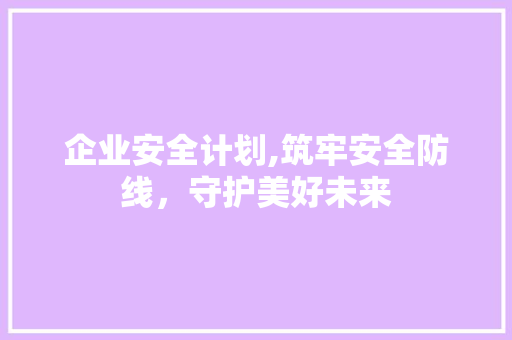企业安全计划,筑牢安全防线，守护美好未来
