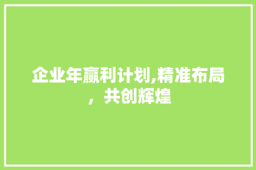 企业年赢利计划,精准布局，共创辉煌