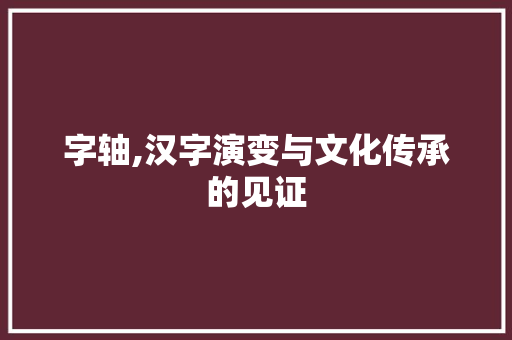字轴,汉字演变与文化传承的见证