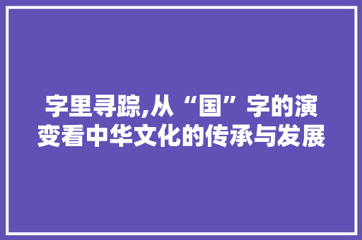 字里寻踪,从“国”字的演变看中华文化的传承与发展