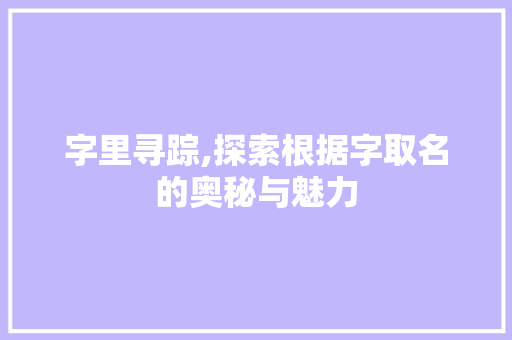 字里寻踪,探索根据字取名的奥秘与魅力