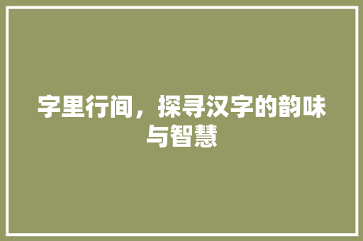 字里行间，探寻汉字的韵味与智慧