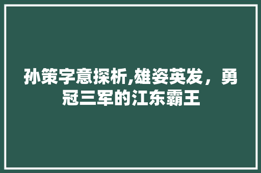 孙策字意探析,雄姿英发，勇冠三军的江东霸王