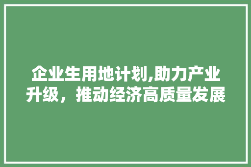 企业生用地计划,助力产业升级，推动经济高质量发展