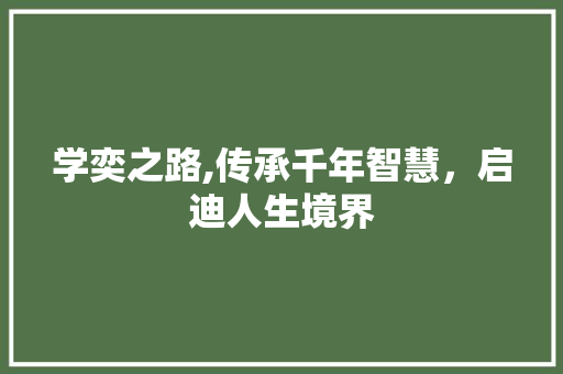 学奕之路,传承千年智慧，启迪人生境界