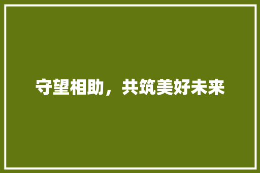 守望相助，共筑美好未来