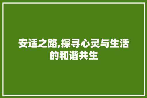 安适之路,探寻心灵与生活的和谐共生