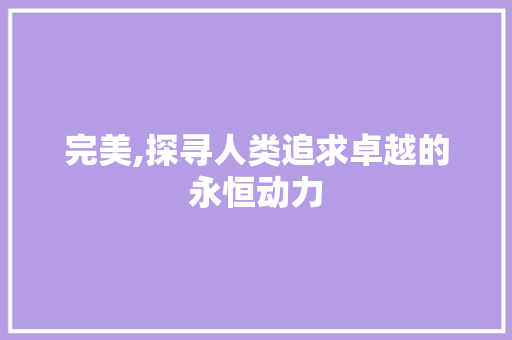 完美,探寻人类追求卓越的永恒动力