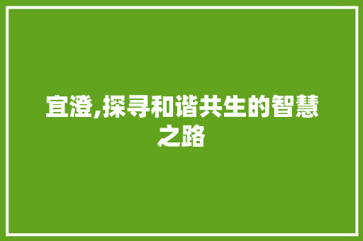 宜澄,探寻和谐共生的智慧之路