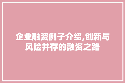 企业融资例子介绍,创新与风险并存的融资之路