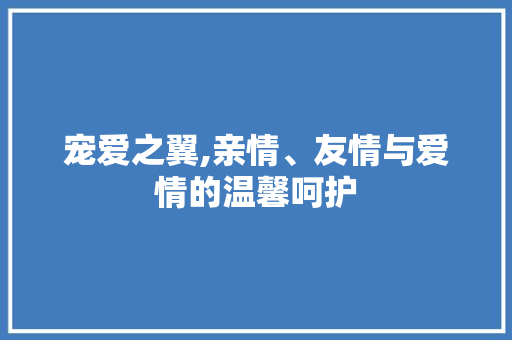 宠爱之翼,亲情、友情与爱情的温馨呵护