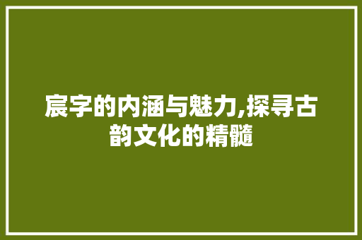 宸字的内涵与魅力,探寻古韵文化的精髓