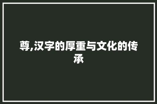 尊,汉字的厚重与文化的传承