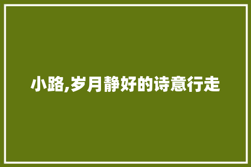 小路,岁月静好的诗意行走
