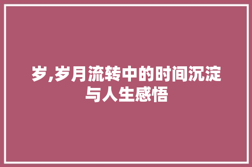 岁,岁月流转中的时间沉淀与人生感悟
