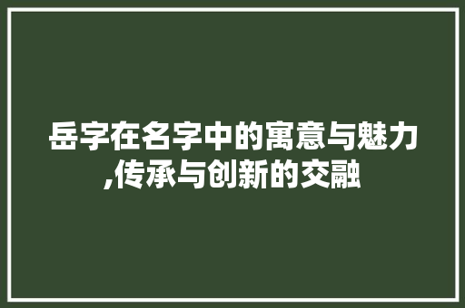 岳字在名字中的寓意与魅力,传承与创新的交融