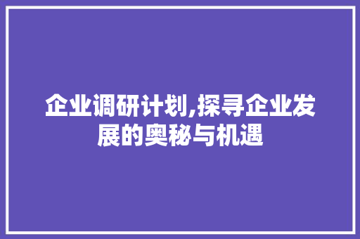 企业调研计划,探寻企业发展的奥秘与机遇