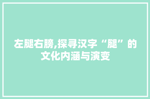 左腿右膀,探寻汉字“腿”的文化内涵与演变