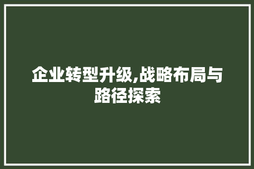 企业转型升级,战略布局与路径探索