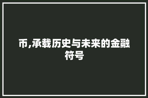 币,承载历史与未来的金融符号