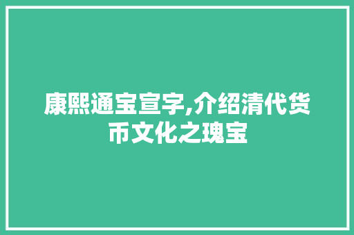 康熙通宝宣字,介绍清代货币文化之瑰宝