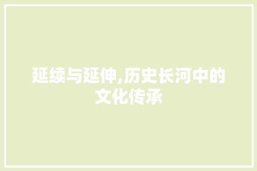 延续与延伸,历史长河中的文化传承