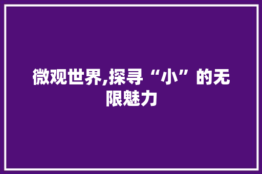 微观世界,探寻“小”的无限魅力