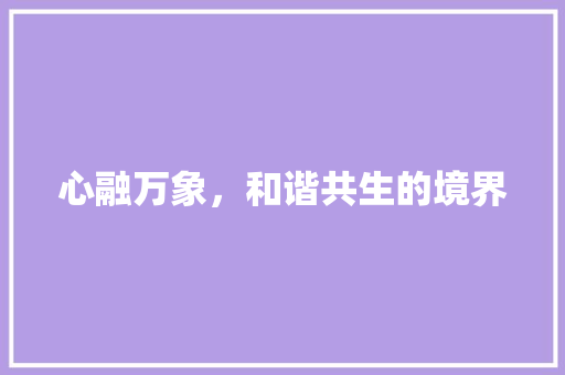 心融万象，和谐共生的境界