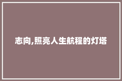 志向,照亮人生航程的灯塔