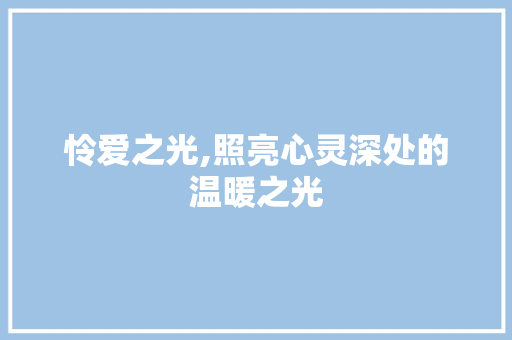 怜爱之光,照亮心灵深处的温暖之光