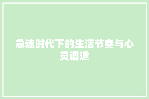 急速时代下的生活节奏与心灵调适