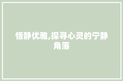 恬静优雅,探寻心灵的宁静角落